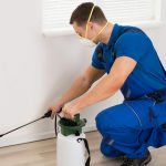 Best Pest Control Services For Healthy Homes