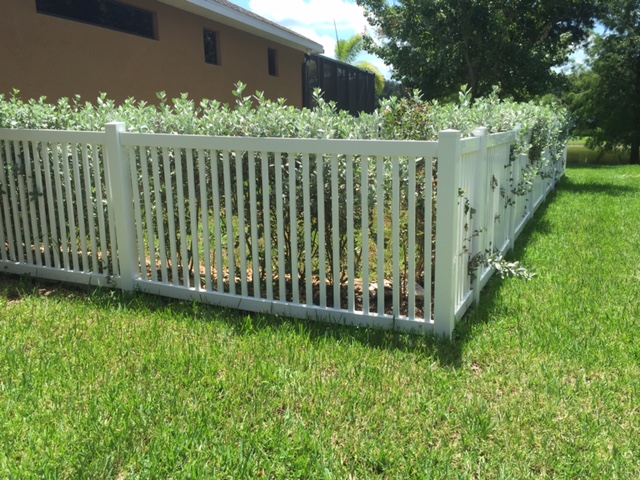 Fence Company San Antonio