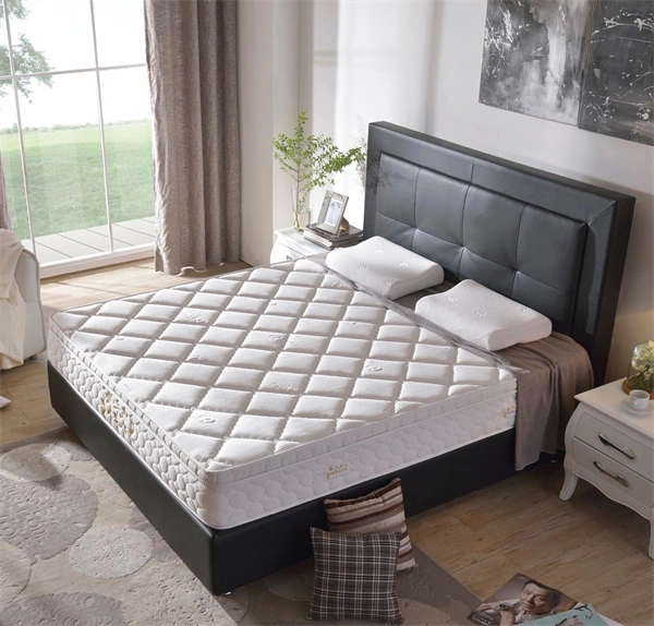 queen bed frame singapore