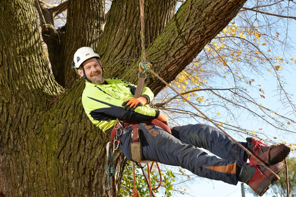 arborist Melbourne