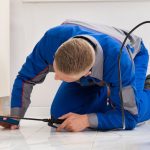 exterminators for roaches in beaumont