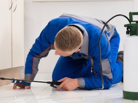 exterminators for roaches in beaumont