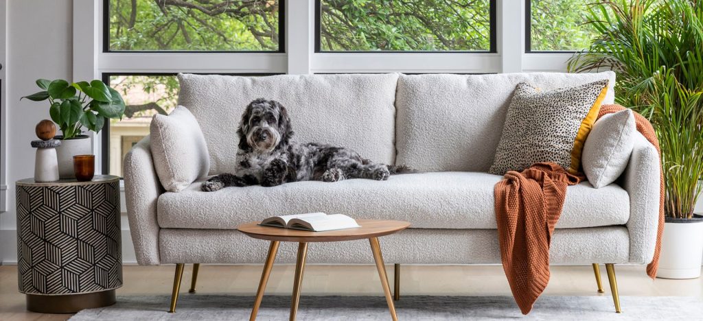 pet friendly sectional