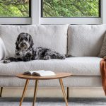 pet friendly sectional