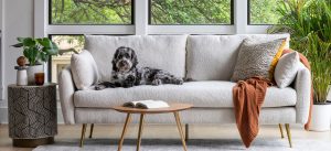 pet friendly sectional