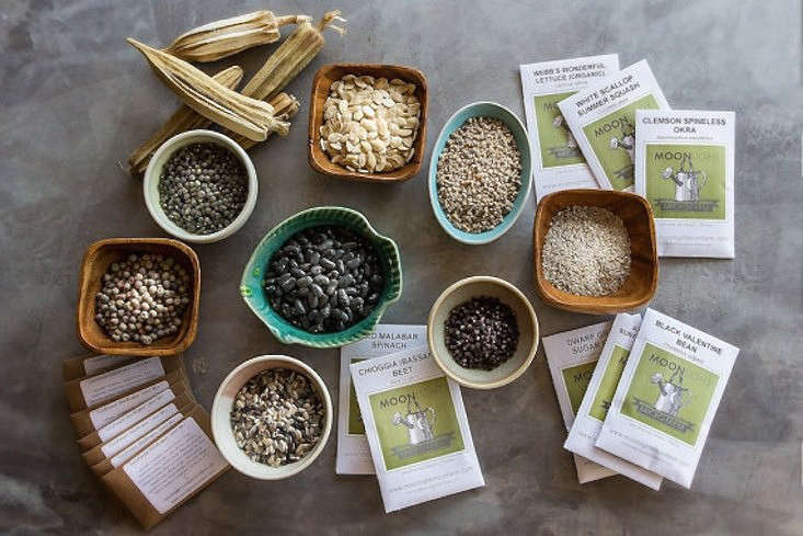 heirloom seeds