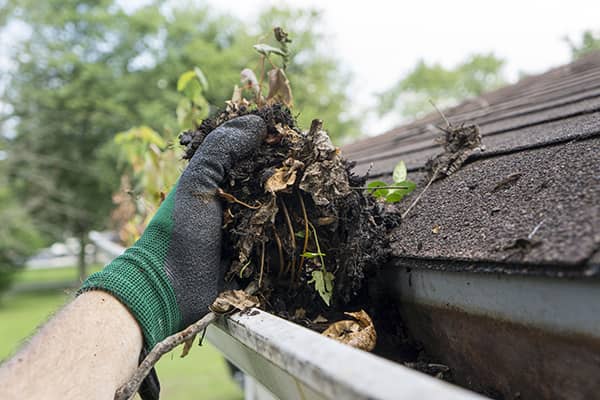 Commercial Gutter Cleaning 
